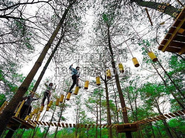 叢林穿越設備的搭建對環境有影響嗎？